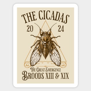 Cicadas 2024 - Brood XIX Brood XIII - Funny Cicada Lover Sticker